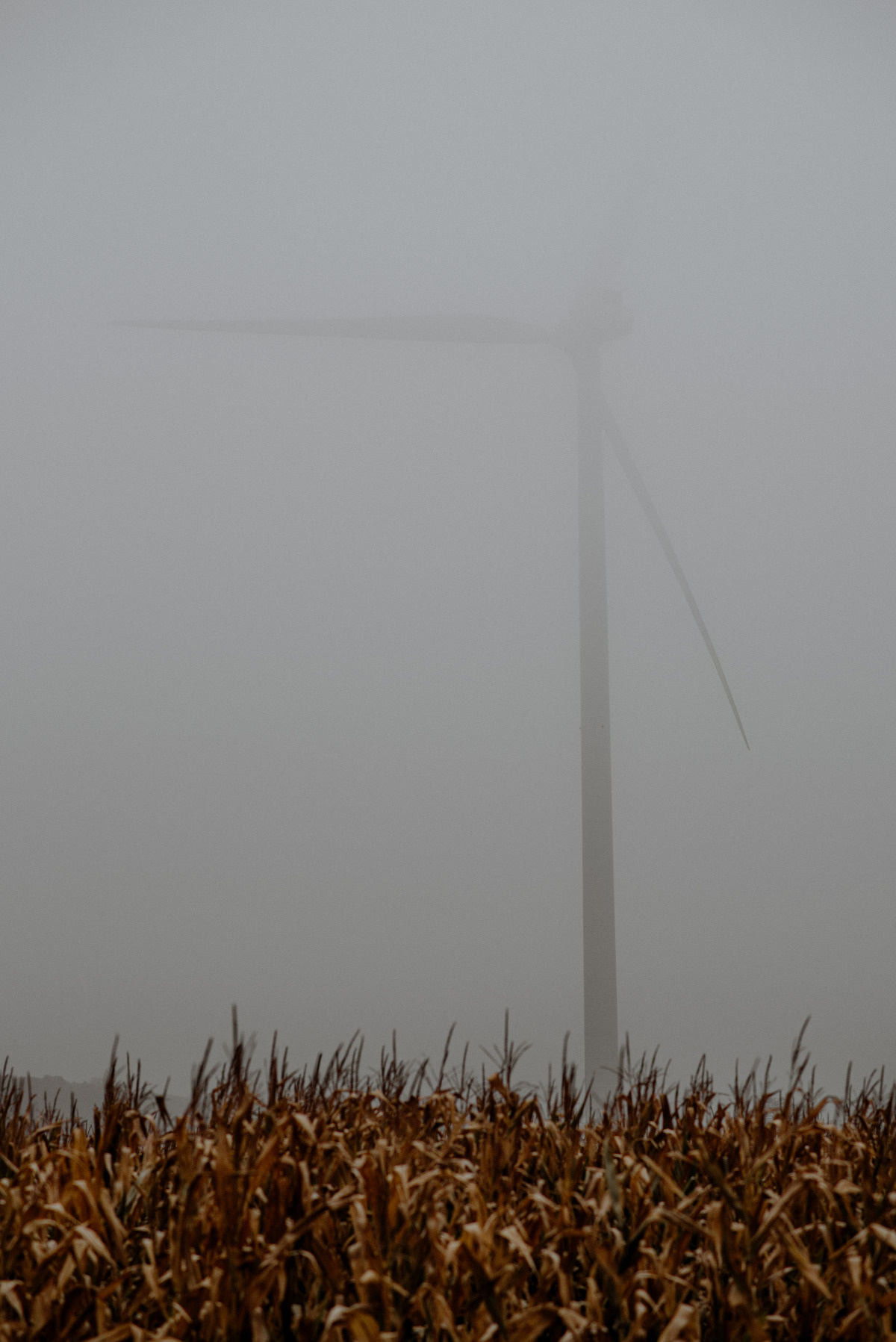 e942281b-7a61-4e96-825f-5badd8c33ee1