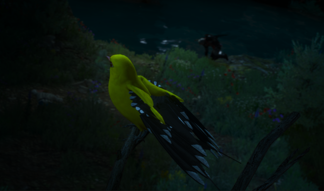 664864e0-37e0-4631-b319-1d0f3dfce303