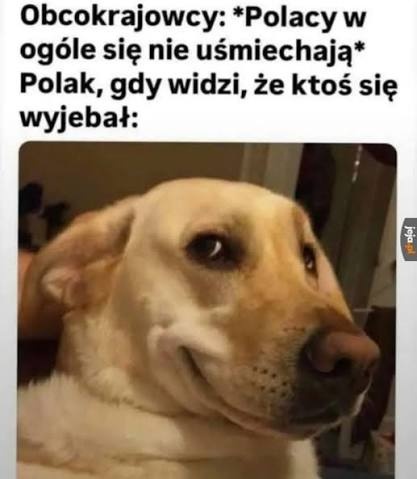 e21a37a0-5e4f-420f-811e-141191c4eac4