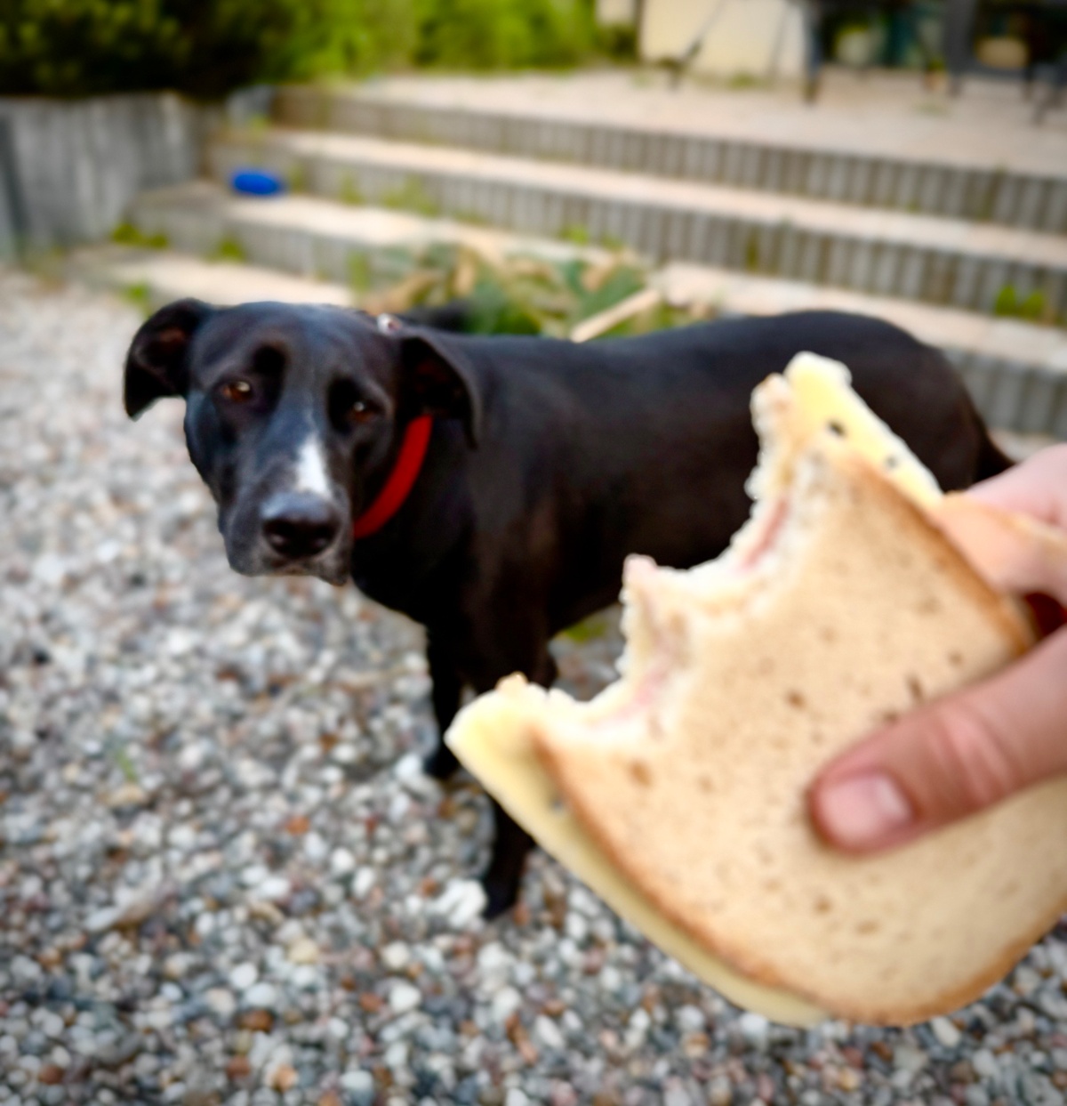 599504c0-b294-45dc-984b-abe980e88ddf