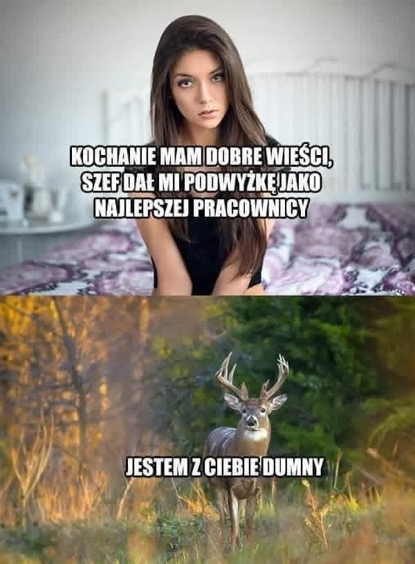 4da8c172-a872-4cde-ad1a-d64c02bba5a4