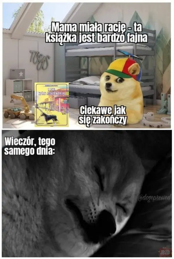 36399c57-5423-40f1-8fbb-aa17efb7fe23