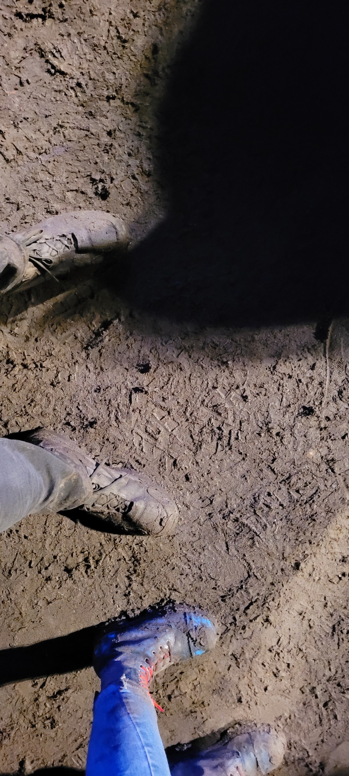 c8df0ed2-a4ce-4a4d-aa2d-5ea381e4ddd7