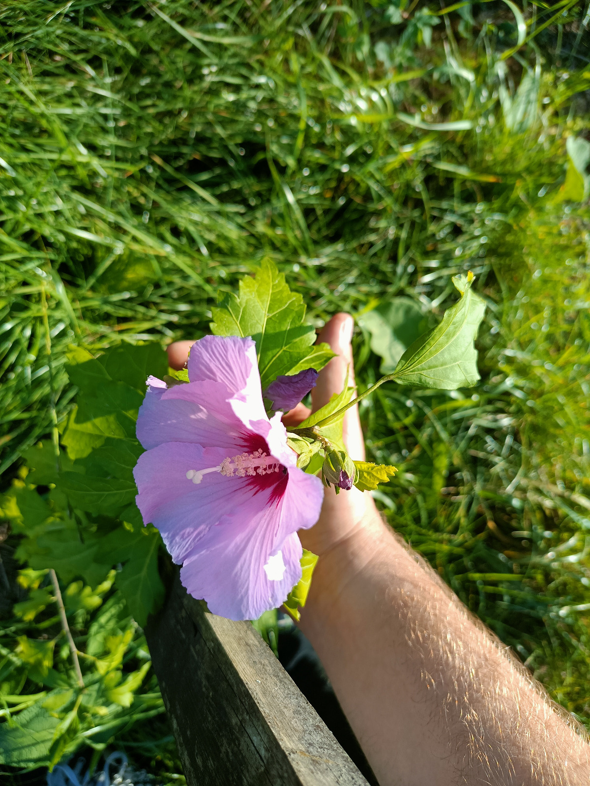 bf2f337d-808c-4917-827e-38c2976d463b