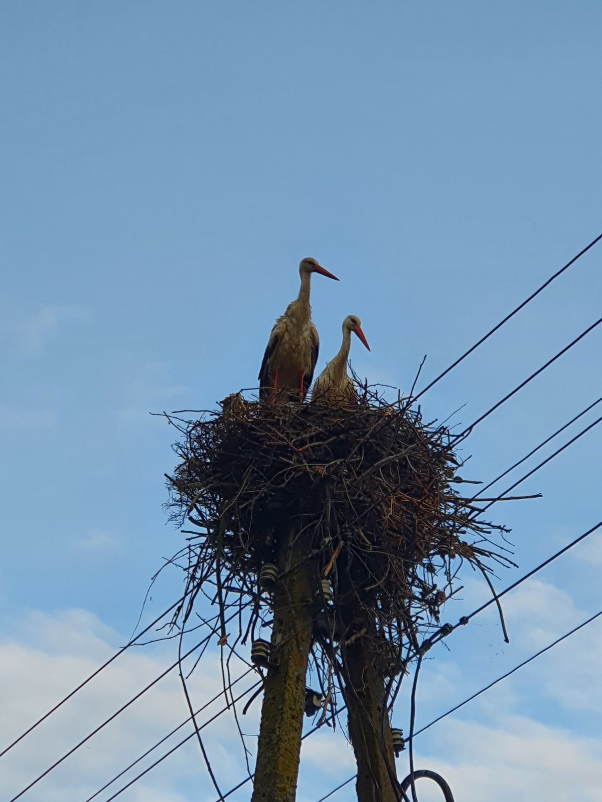 57015304-7753-4863-9a38-a0b805520aec