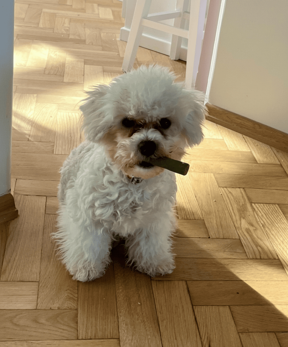 e5fe16df-4806-495d-8869-03542ce06e76