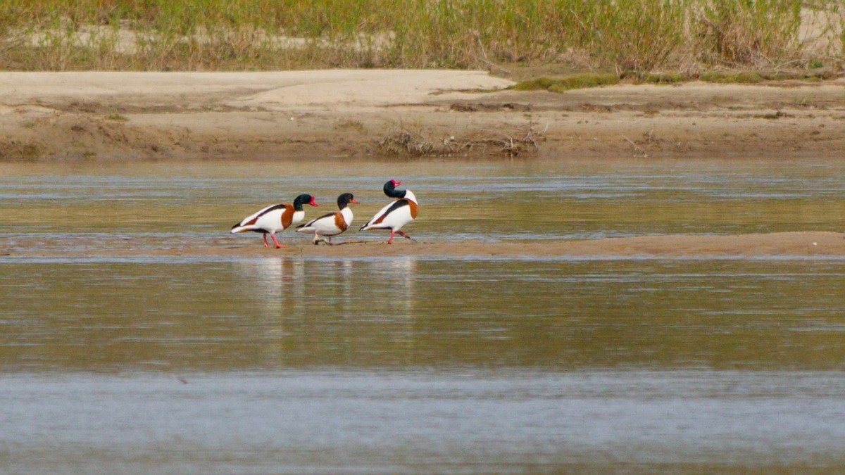 98188062-e6b9-4f21-b656-e8f679a6b5f2