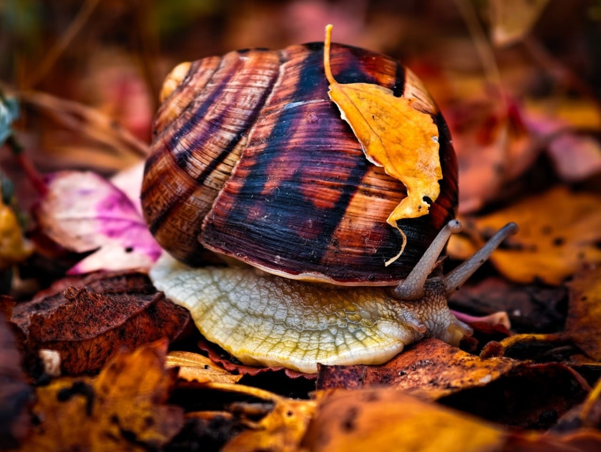 4152dab0-2361-4101-939a-a7b277bc65c0