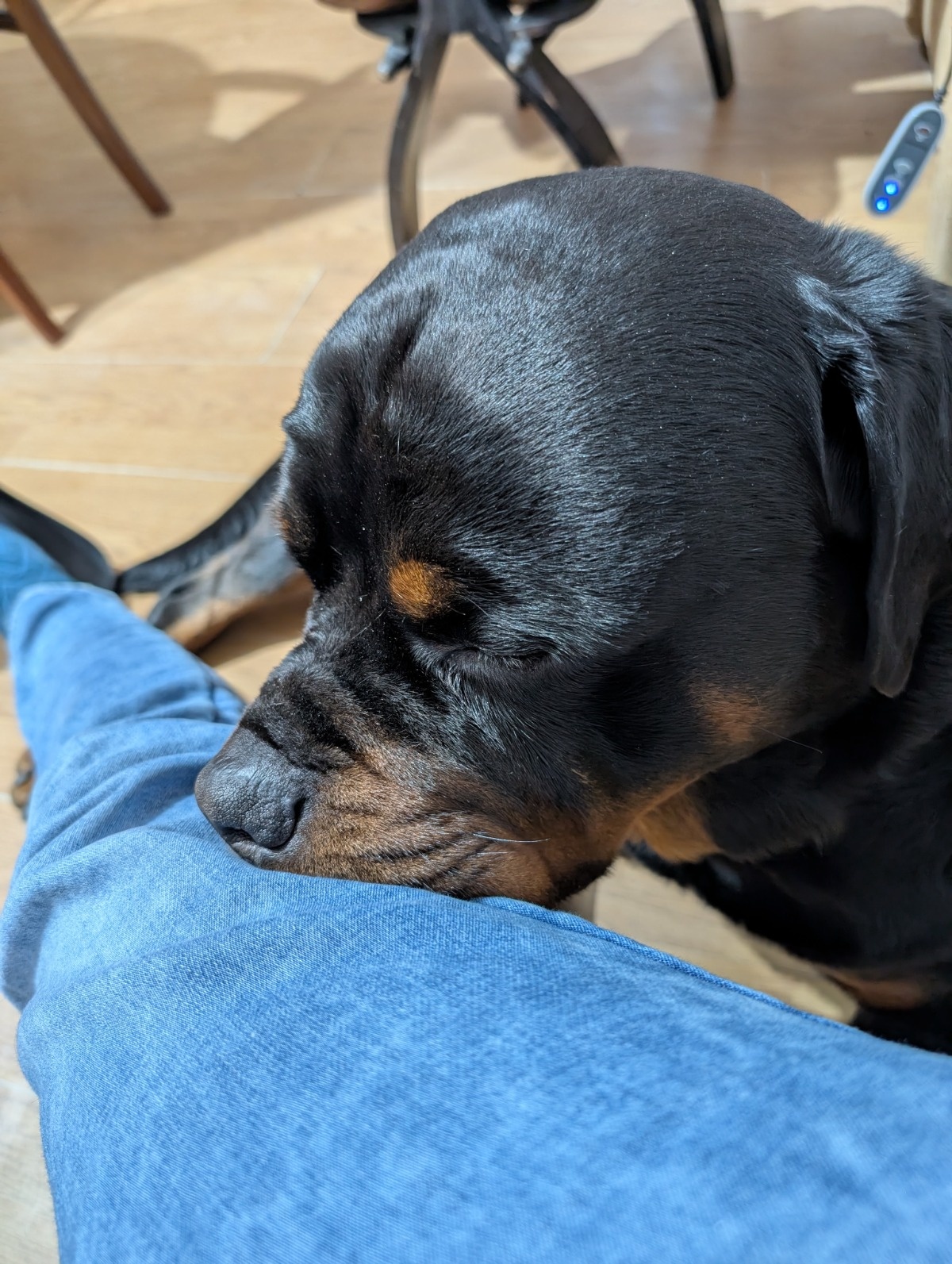 ed76454e-1e0e-4ac4-a651-cb6ec7a38fa6