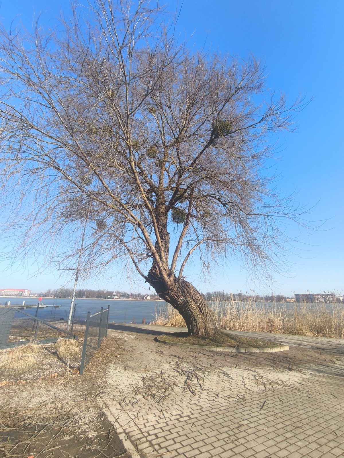 fce6601d-44c3-4b40-9101-a8f1db86c172