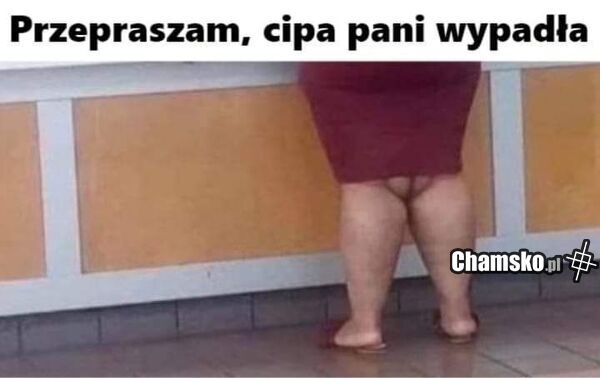 74998635-e024-4a72-9a02-60f41743899f