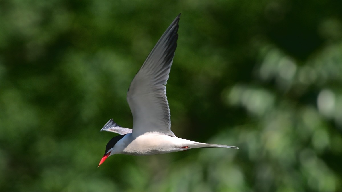 388e7767-ed51-4842-9be2-4ec15780a41c