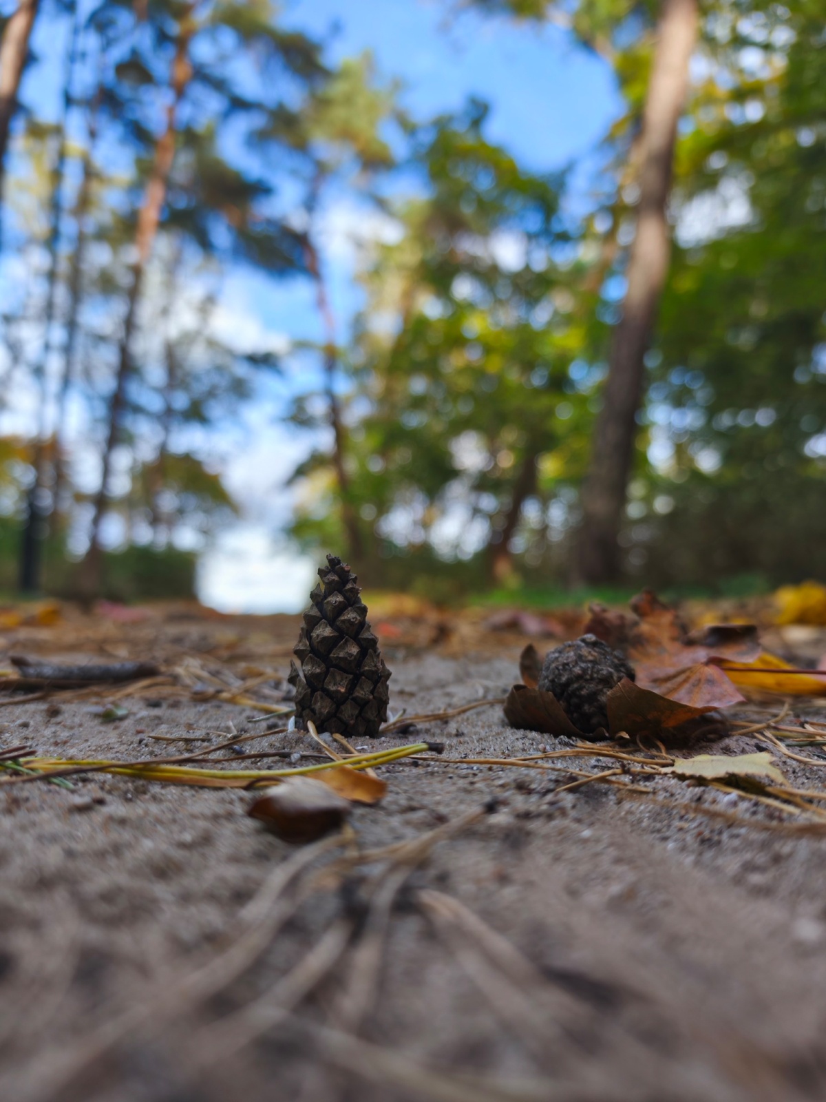 e95435ad-027d-48e3-98cc-7afe0527934f