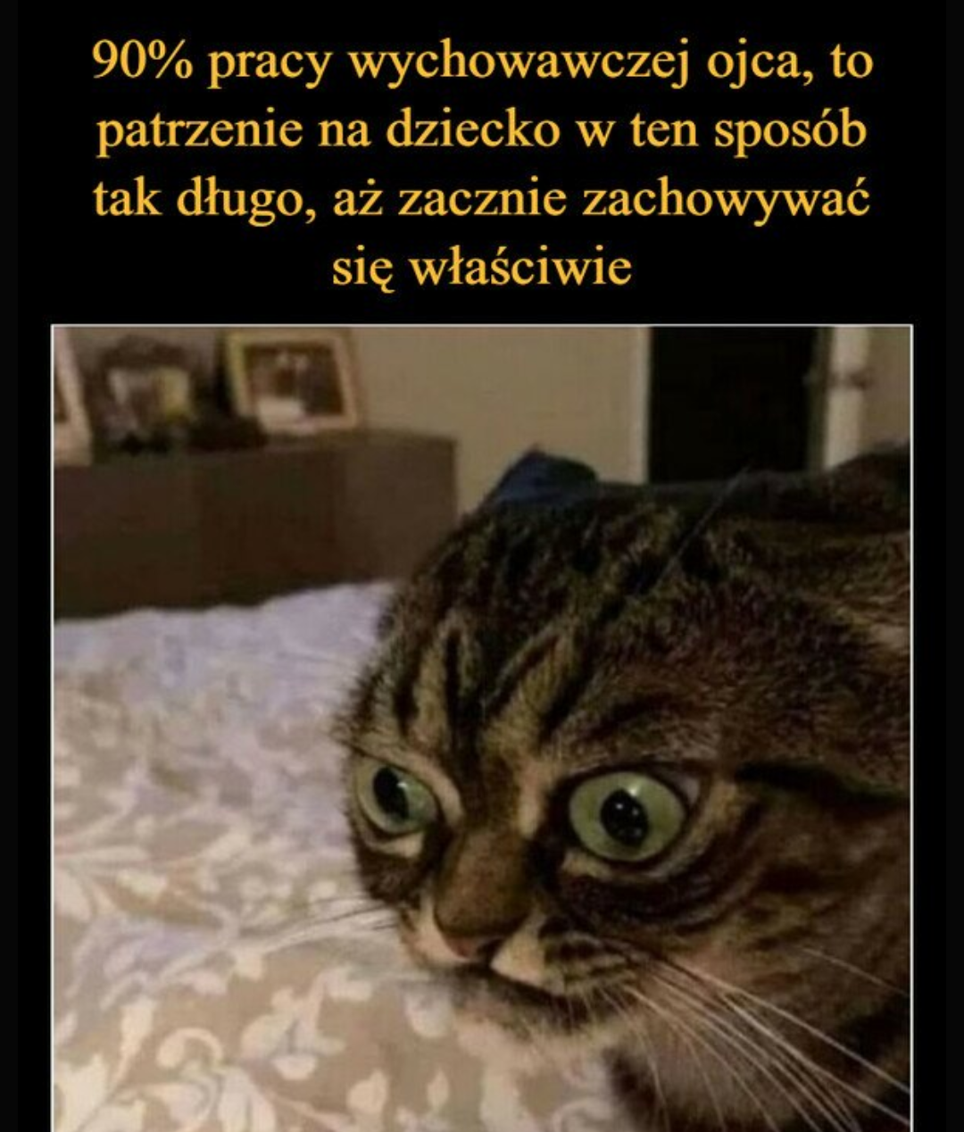 e9e07818-21fc-43f8-9a20-3523b6352be5