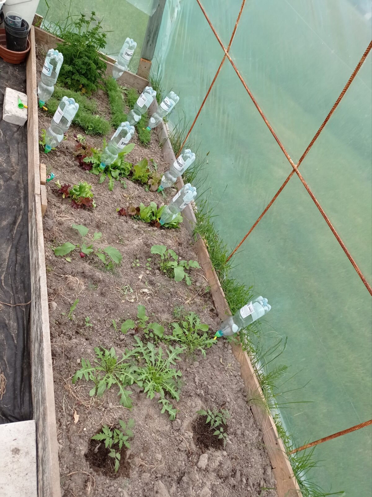 cfecdd83-e803-46fb-9313-944402207ab4