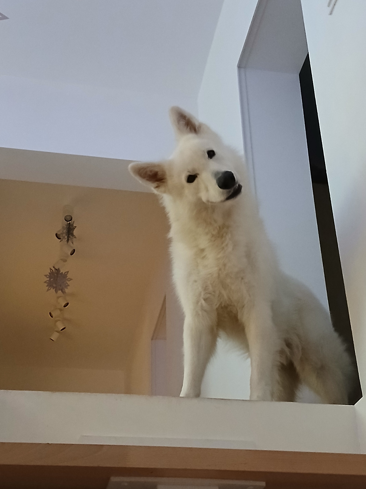 d157ce63-d094-4098-be48-295bd6947714