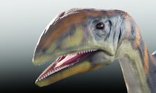 Zidentyfikowano pierwszy gatunek dinozaura żyjącego na Grenlandii