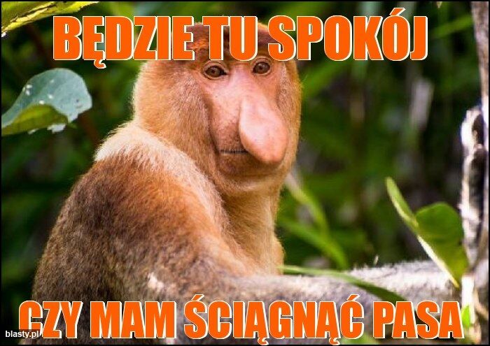 2f3f03a5-61ee-4608-8373-3eaca7c24a7c