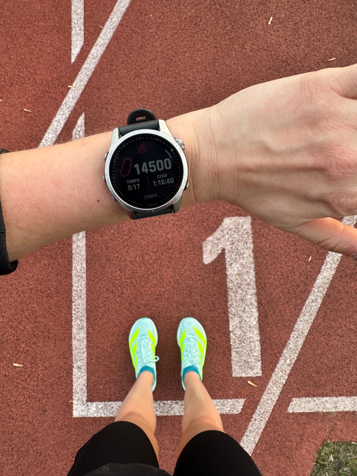 8055e495-3c10-4681-ae8a-2d8c92d4dfef