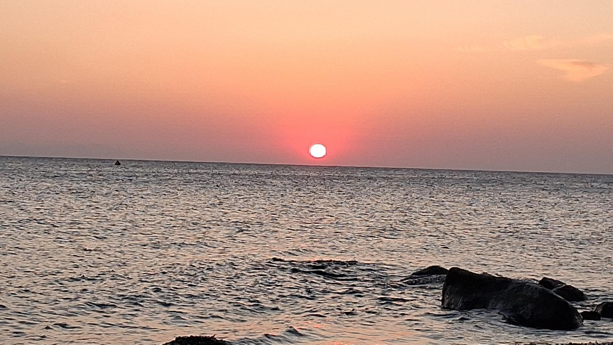 3564f163-b26b-482d-a9c0-d6161fc76ad8