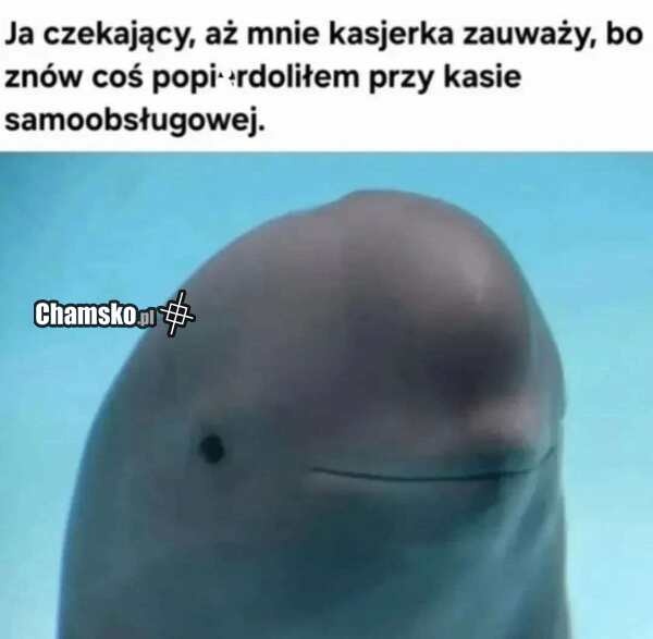 522f7c6c-139e-4664-808e-f35750fcf2e9