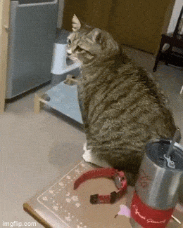 56e4b76b-85e0-47cb-beaa-67011c22376f