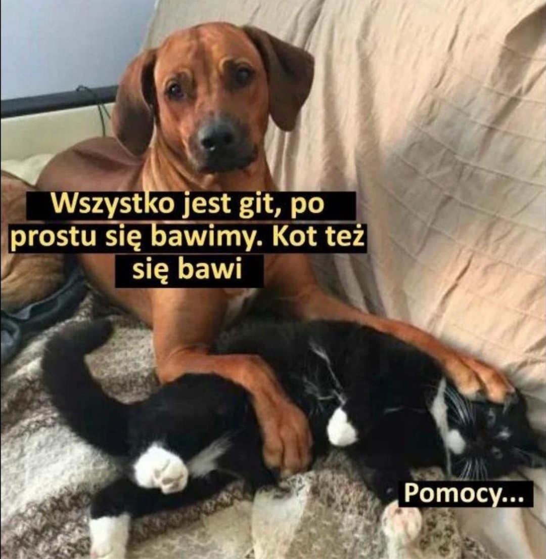 06776e4b-391a-429f-8f93-e5af0ef6a859