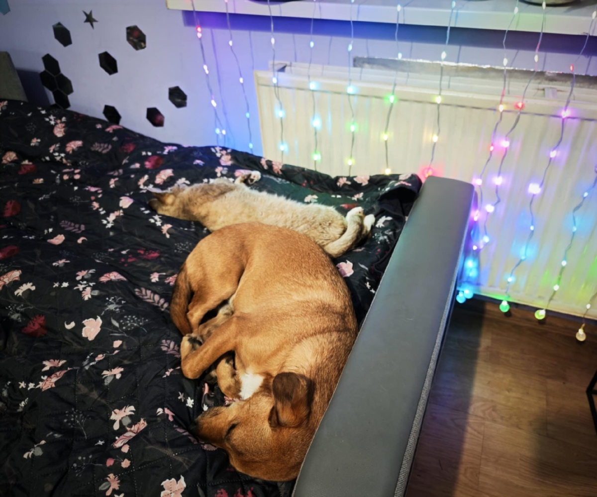 5edfbfc0-ebed-4255-bac2-854471e54b33