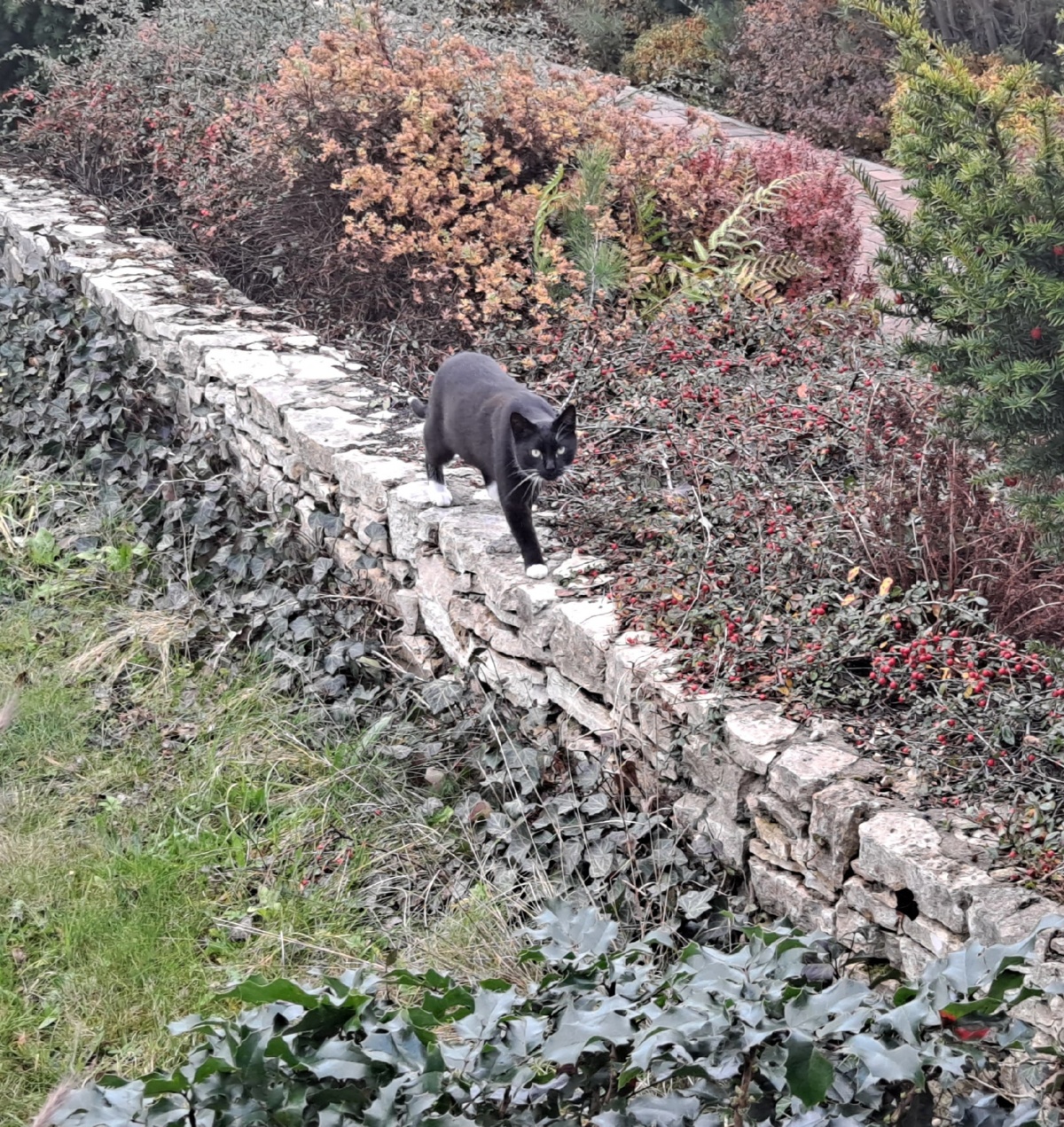 6b465698-92f0-42d2-a5ae-304dfc0725e9