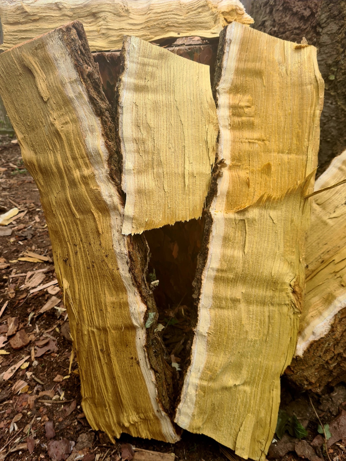 8b98cf4f-7057-4b4d-9466-f172ea966ed0