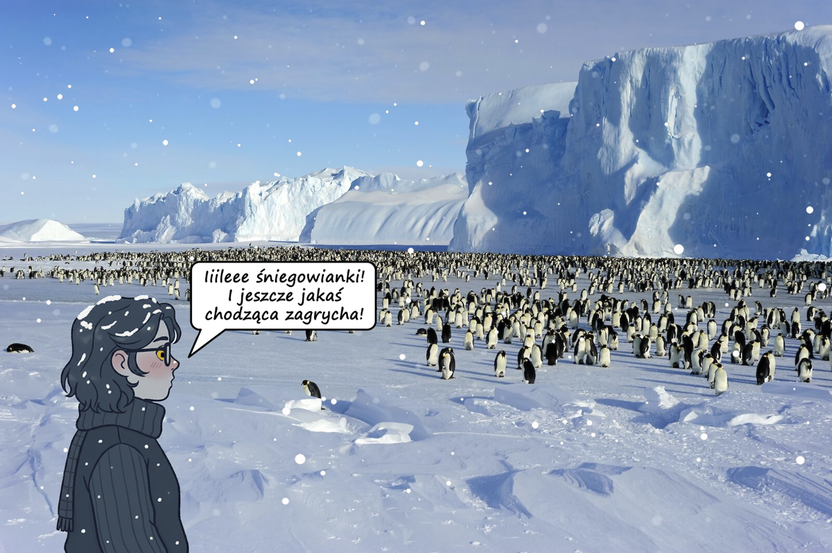 9f6a81c1-4024-4ff0-a275-16e3f27be042