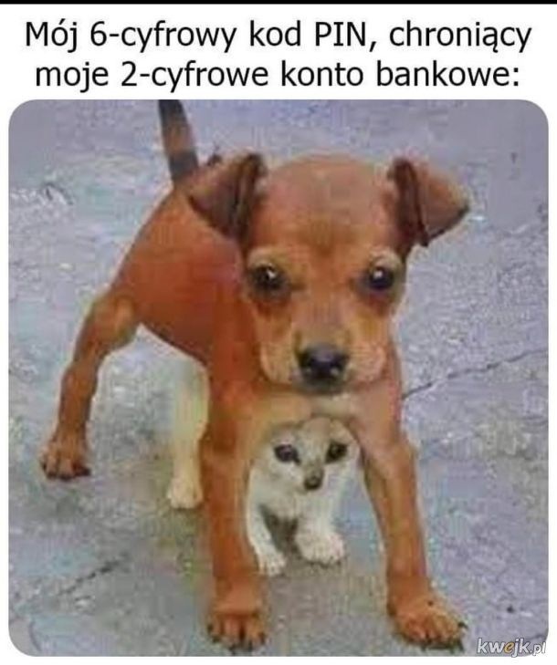 b638d2ce-c6c9-486d-964c-c2ae81cccc92