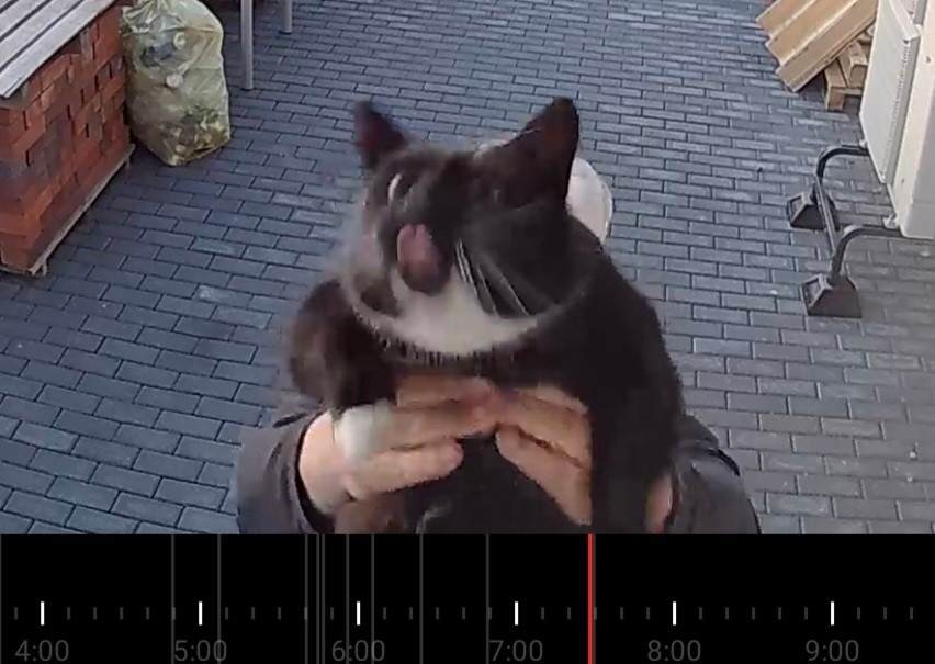 1e6461d2-5886-49b3-9629-57f7fa8d6aea