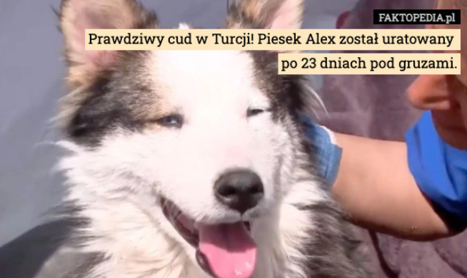 3ed18056-5973-4663-b1dc-db72fc73646b