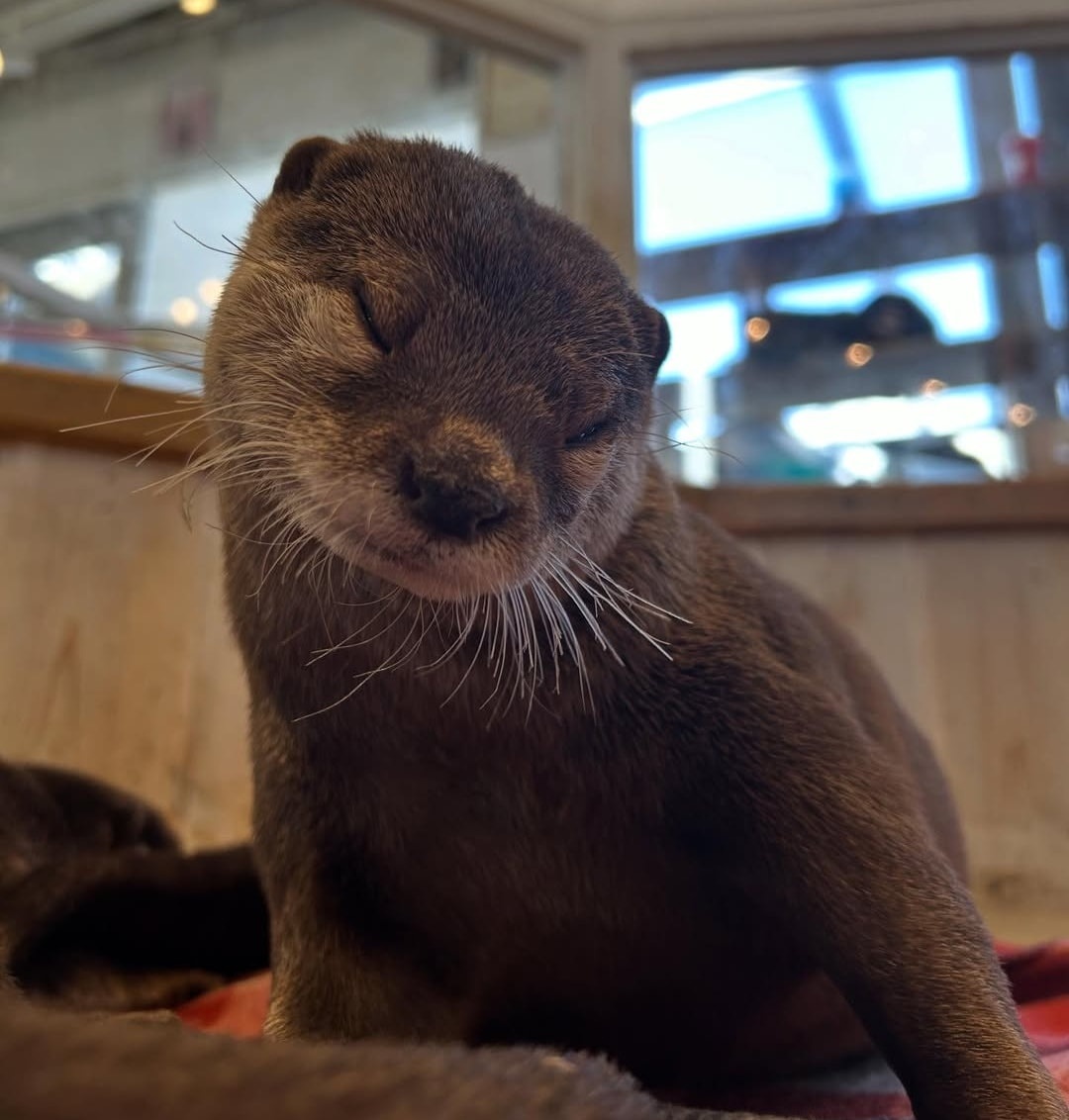 f64386d5-4bec-4df0-94c3-90277e3af03e