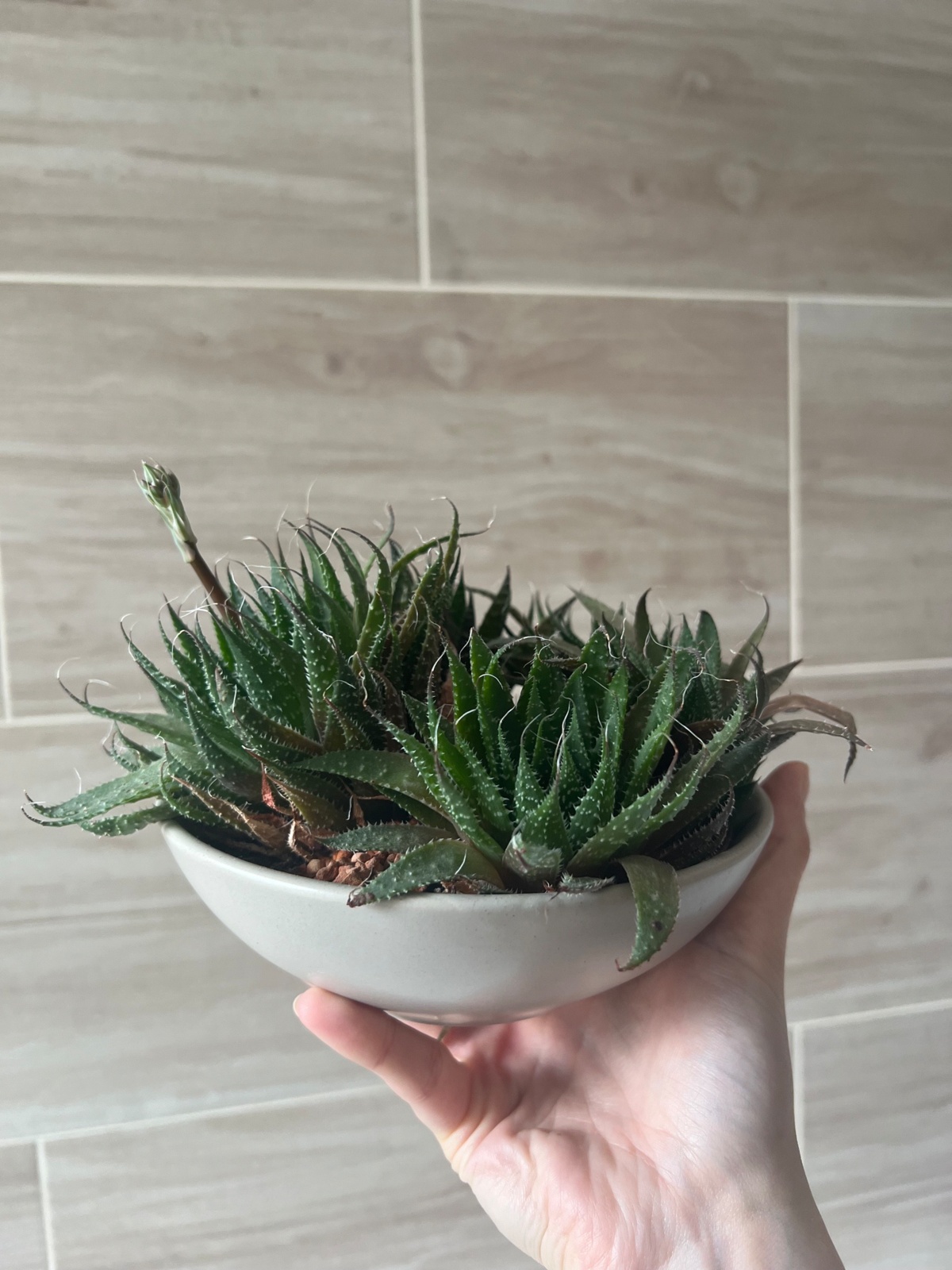 6652f0de-3c7a-4814-9e9e-7095beb4ae1a