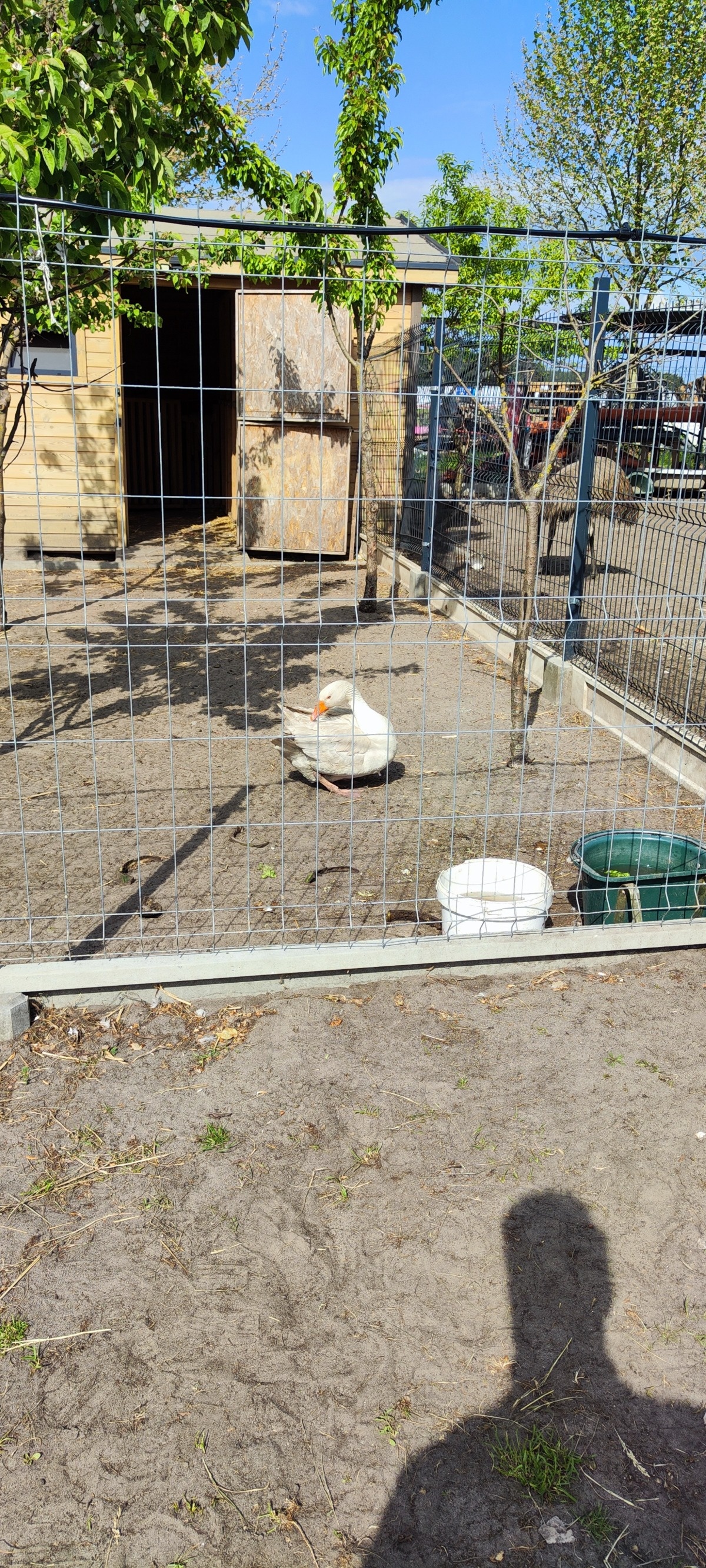 1baab320-1e29-43bb-bad2-f17c59512a23