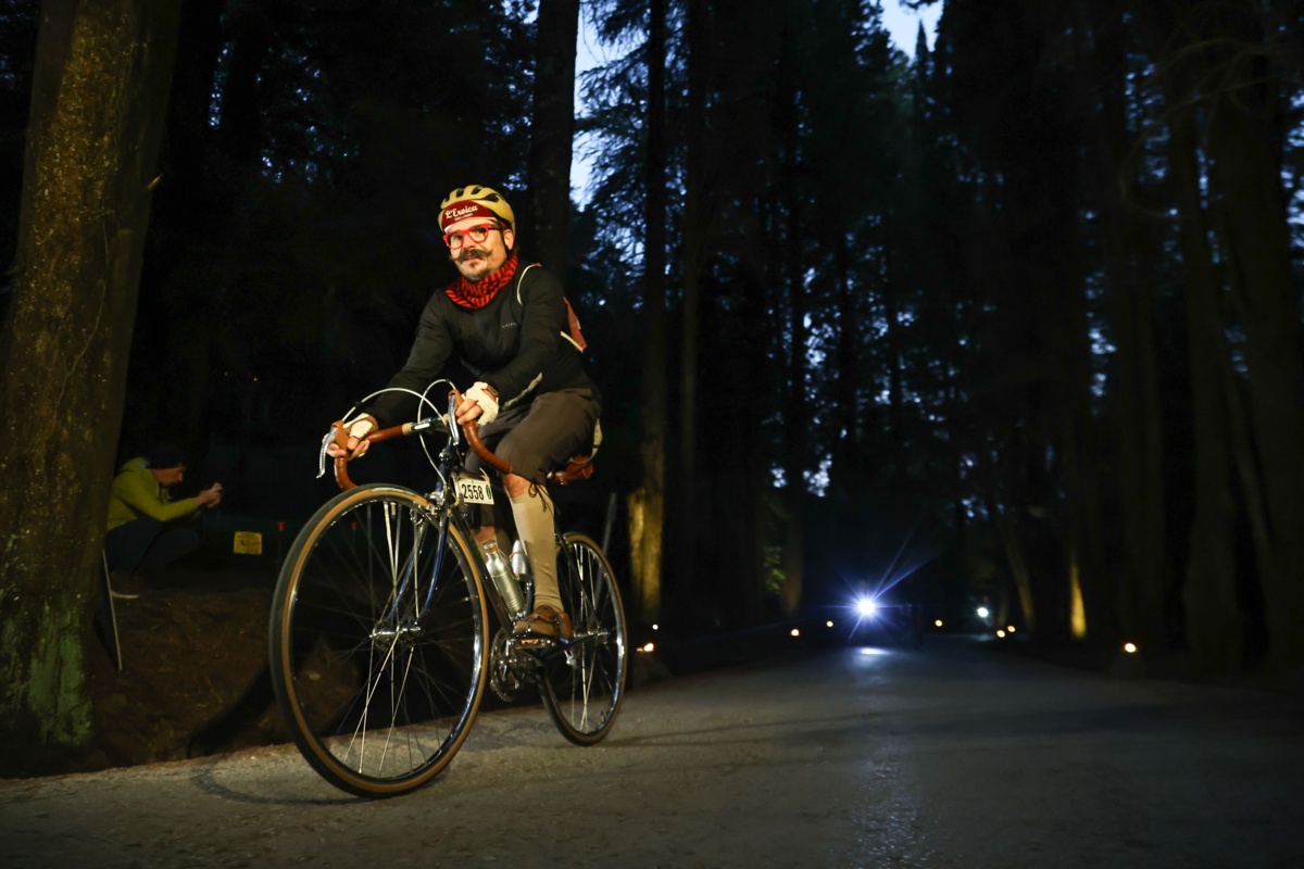 f2042e54-45ab-4d40-a4a6-cc9e84fc3fcc