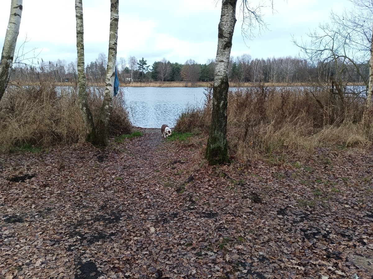 c9c13fd6-d749-4330-9310-fcc54b6671f2