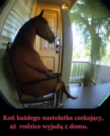 4c1b34a9-65f1-4b85-a986-905fbcb4050b