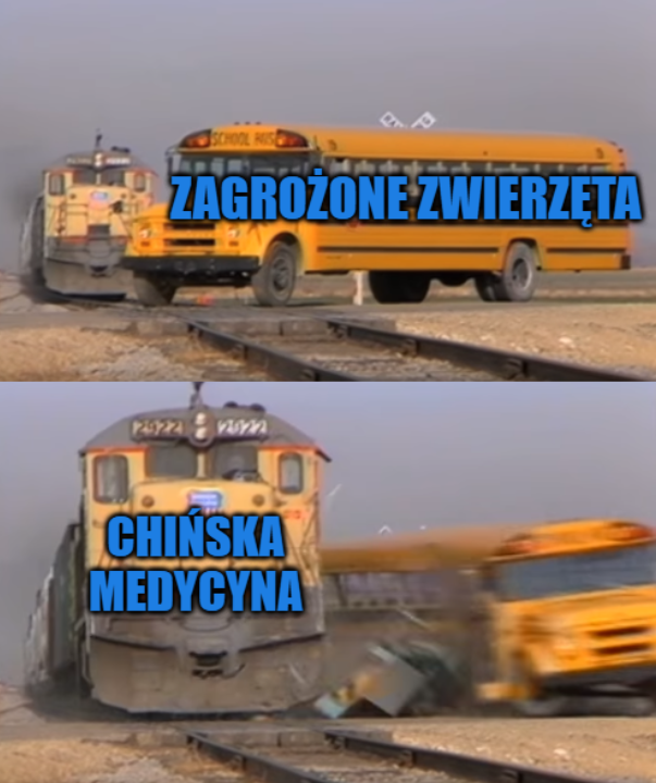 48c6ff42-c678-466b-9b6b-84b5e2343e03