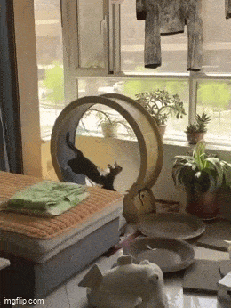 1eeb825b-5e7e-499d-b2d2-5c87533dc38e