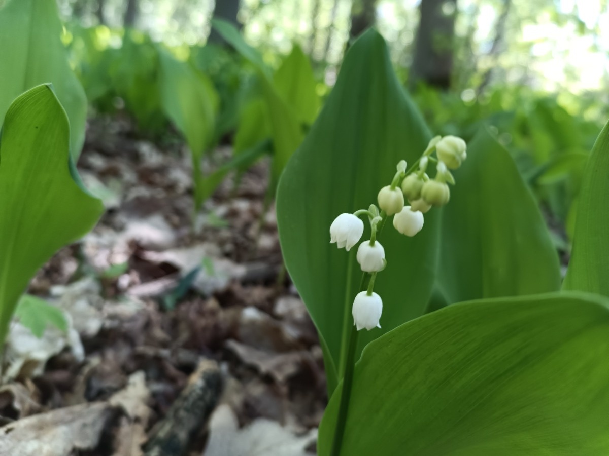 2eec0f94-b7f5-4c9d-8b7f-da86d479f9af