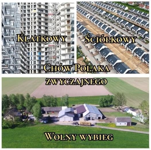 01746559-ec01-4151-b070-c7c456b192d0