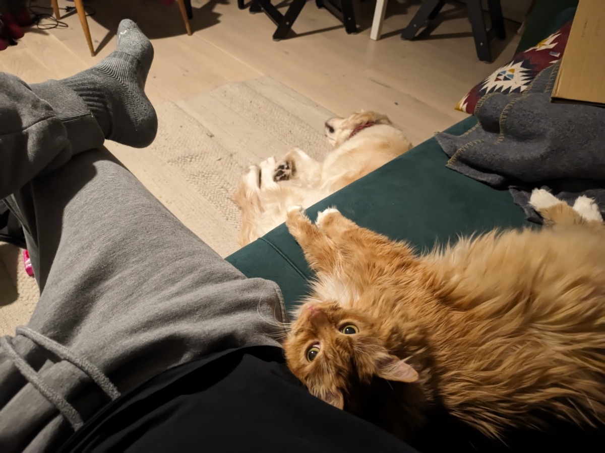 8415f411-7bd8-4a9b-b9ec-1c351e67ac79