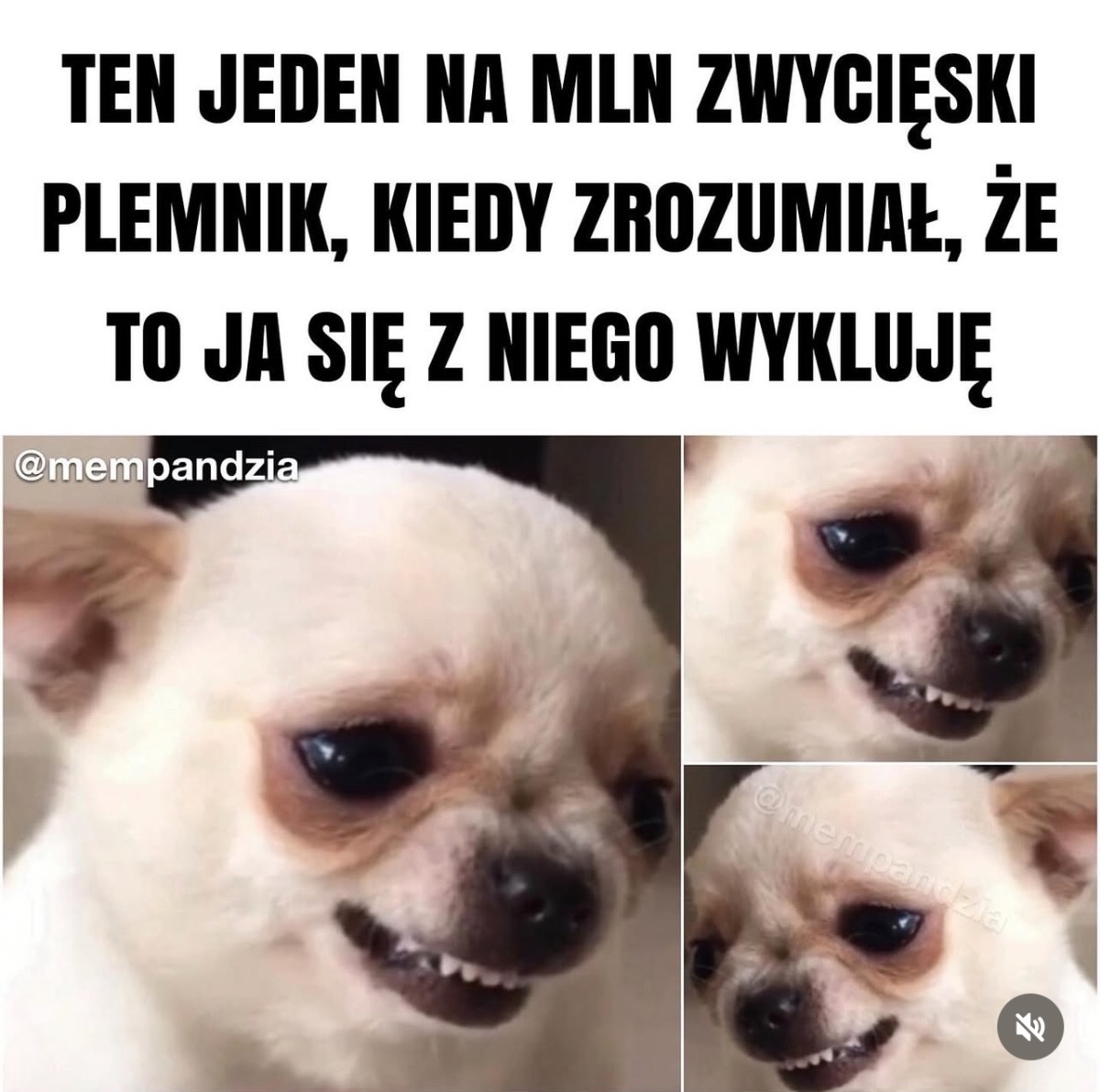 78d3c970-0dce-45b6-8a84-70d4a3907033