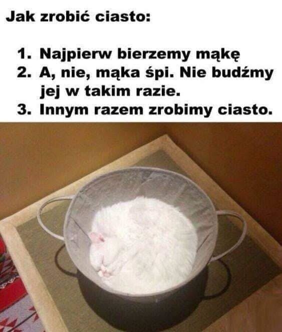 714fe42f-ef3a-4935-aedf-4ab719cb1fe8