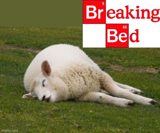 eb4bb6f5-6690-4b1f-b56b-a0554ca92daf