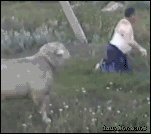 96c6f6e8-ef15-4e53-8573-b7753c259fd3