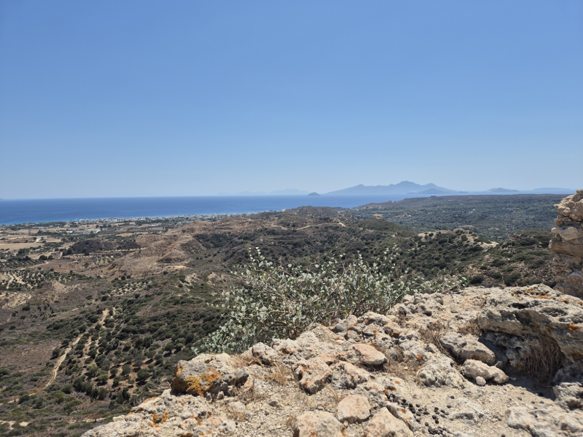 31cb7300-1286-4455-a4ad-400ccd30a5a8